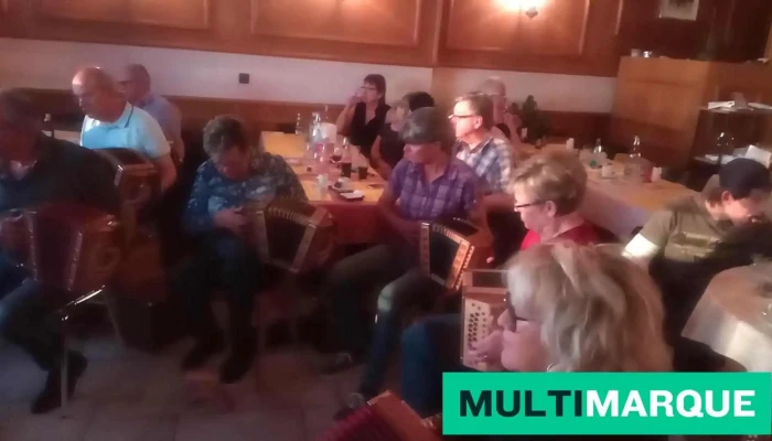 Hotel Du Lion D Or C Brodard Videos - Romont