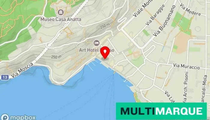 Hotel New Elvezia -  Karte - Ascona