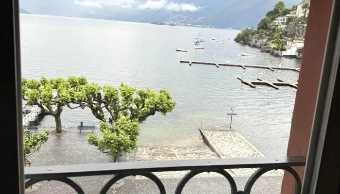 Hotel New Elvezia -  Neueste - Ascona