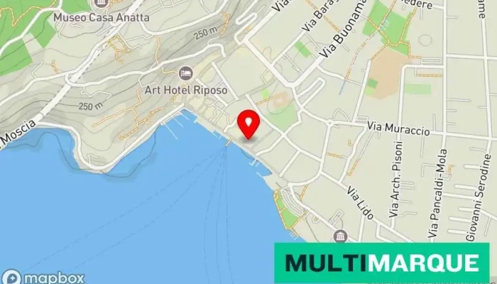 Hotel Tamaro -  Karte - Ascona