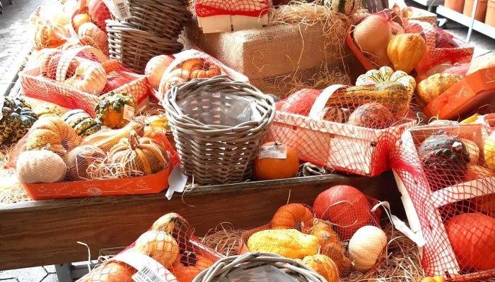Jumbo Bulle Gruyere Centre Baumarkt - Bulle