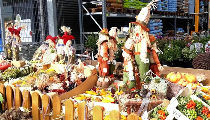 Jumbo Maximo Kaiseraugst -  Wo - Kaiseraugst
