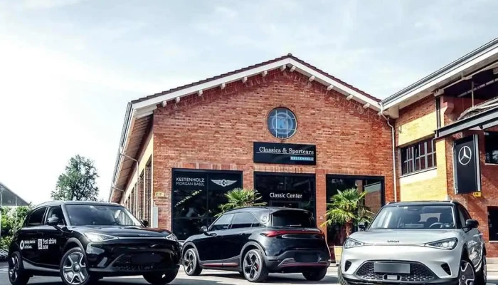 Kestenholz Automobil Ag Smart Alle - Pratteln