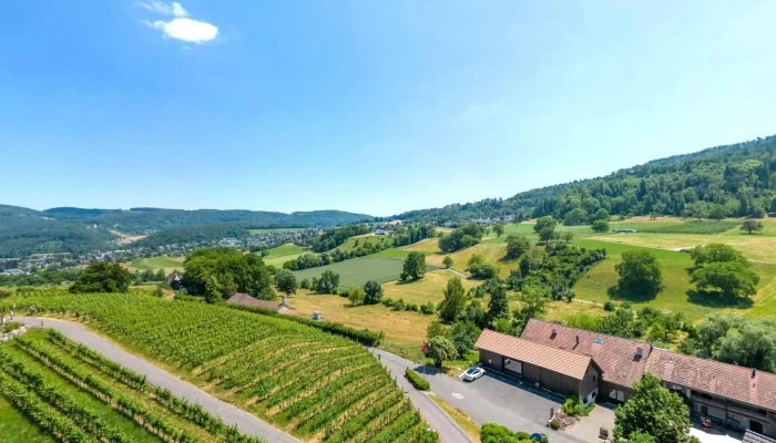 Klus 177 -    Biodynamisches Weingut Eventlocation Street View 360deg Fotos - Aesch