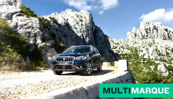 L Schafer Gmbh Suzuki Reparaturen  Und Service Aller Marken Mietbus Mieten Occasionen Neuwagen Alle - Tafers