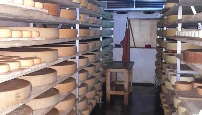 La Petite-Douanne - Courtelary