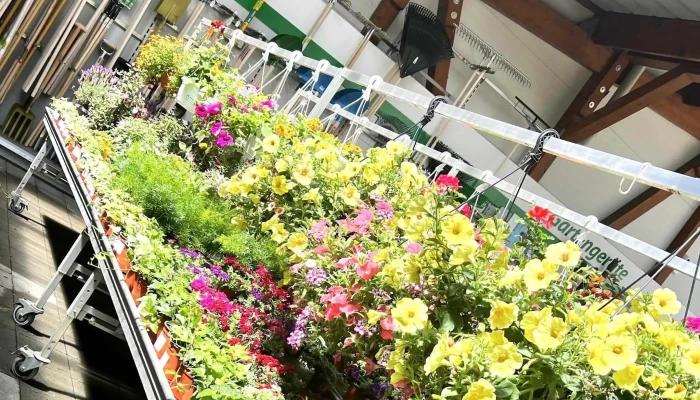 Landi Laden Tafers -  Adresse - Tafers