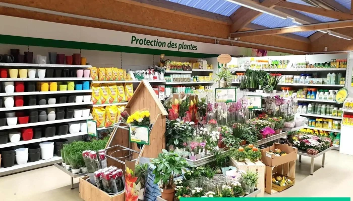 Landi Moleson Sarine Sa Innenansichten - Châtel-saint-denis