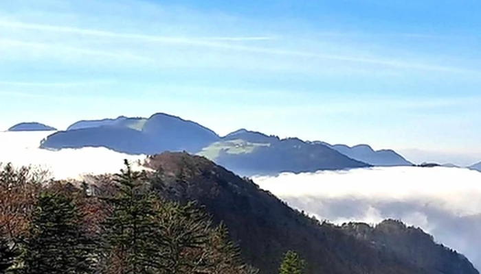 Lauchflue - Langenbruck