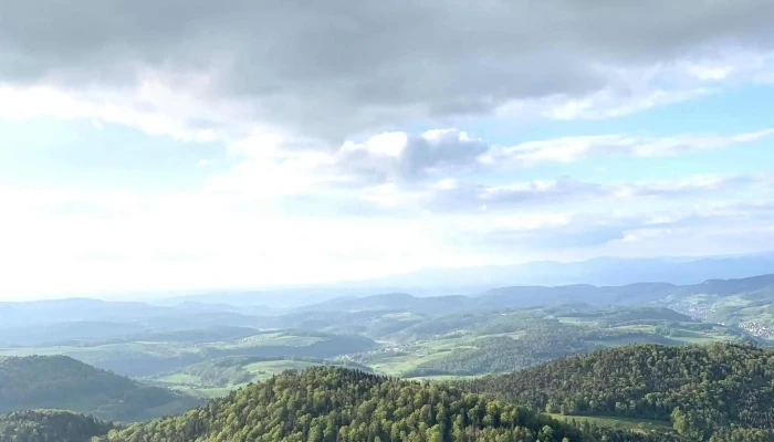 Lauchflue -  Nummer - Langenbruck