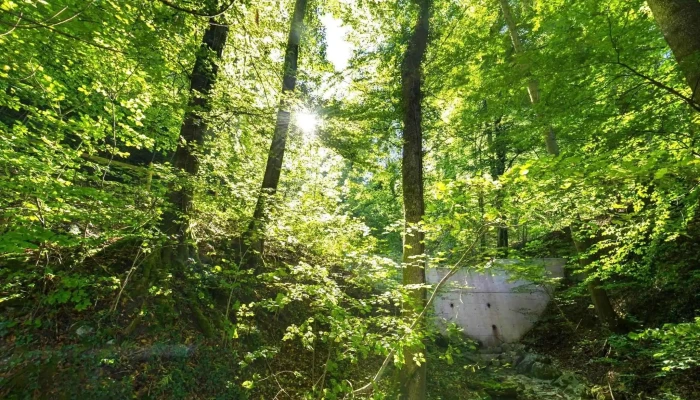 Laufelfingen Street View 360deg Fotos - Läufelfingen