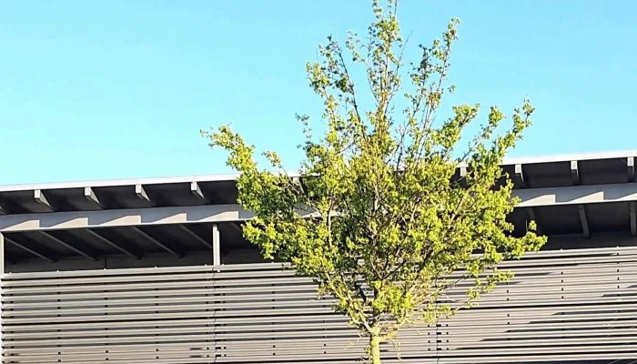 Lidl Schweiz -  Meinungen - Düdingen