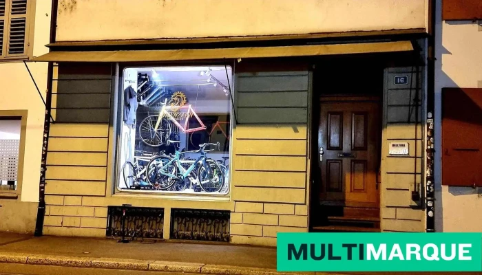 Lowenzahn Bikes Alle - Basel