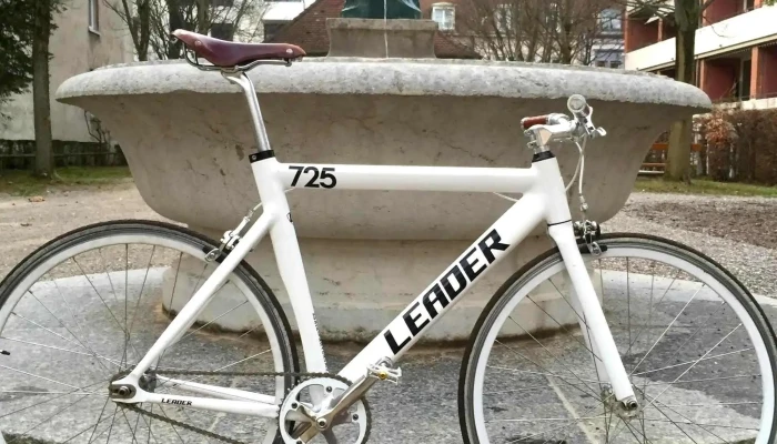 Lowenzahn Bikes Bewertung - Basel