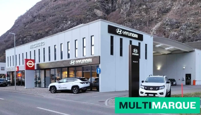Micauto Sa -  Alle - Biasca