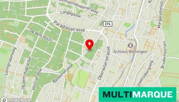 Mobility Carsharing -  Karte - Binningen