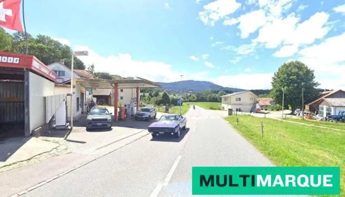 Moog Autowash - Giffers