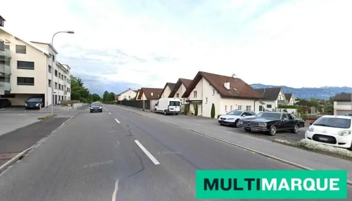 Moos-Garage - Rebstein