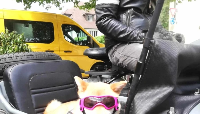 Moto-Addict Sàrl - Moudon