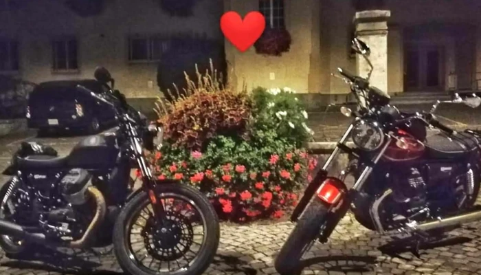 Moto X Gmbh Preise - Wünnewil-flamatt