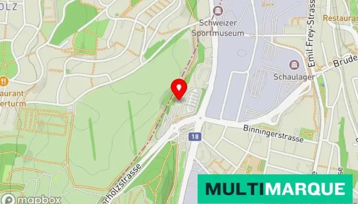 Motorfahrzeug -  Prufstation Karte - Münchenstein