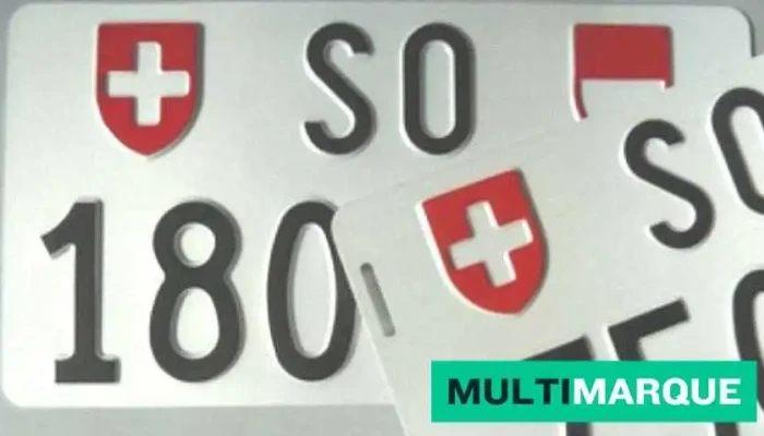 Motorfahrzeugkontrolle Des Kt Solothurn Vom Inhaber - Laufen