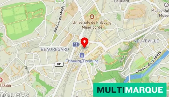Mrs Frederique Lanthemann Karte - Fribourg