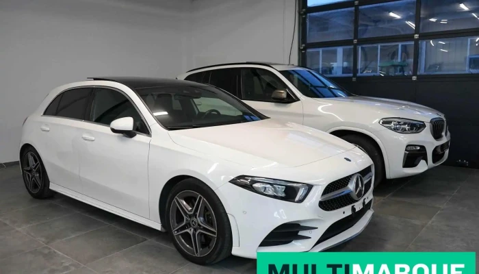 Msg Automobiles -  Alle - Murten