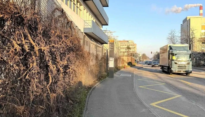 Muttenz Schweizerhalle Bus - Muttenz