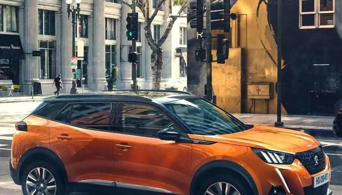 Niederhauser Automobile Ag -    Citroen Vom Inhaber - Thürnen