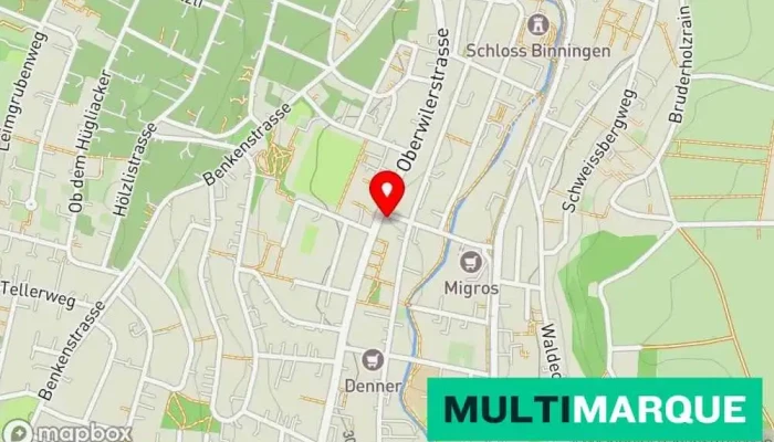 Oggier Automobile Ag -  Karte - Binningen