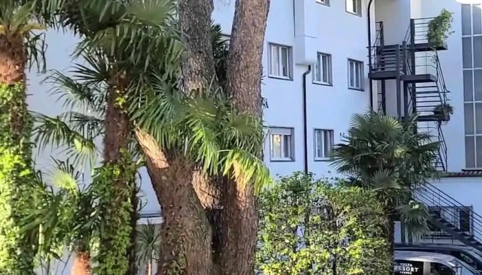 Parkhotel Delta Wellbeing Resort Ascona -  Videos - Ascona