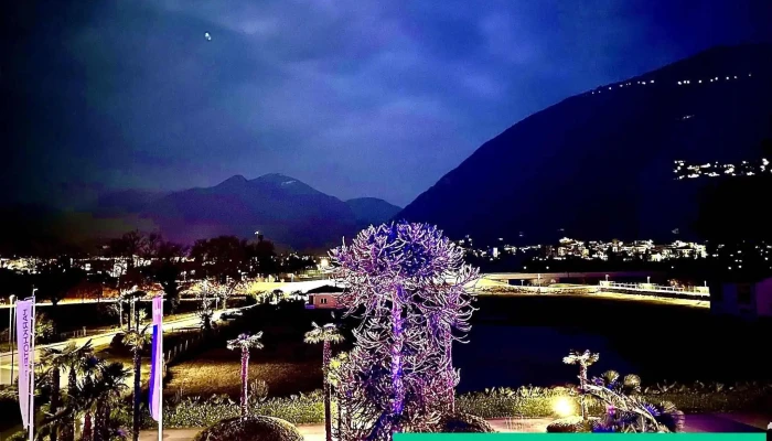 Parkhotel Delta Wellbeing Resort Ascona -  Von Gasten - Ascona