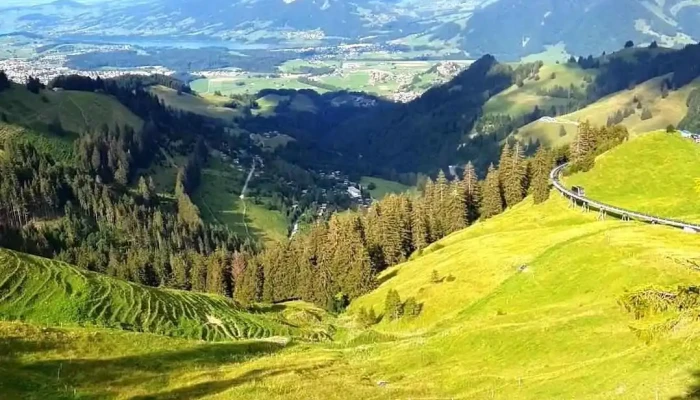 Plan -  Francey Videos - Moléson-sur-gruyères