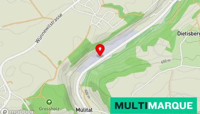 Pneuhaus Salzmann Ag -  Karte - Wünnewil-flamatt
