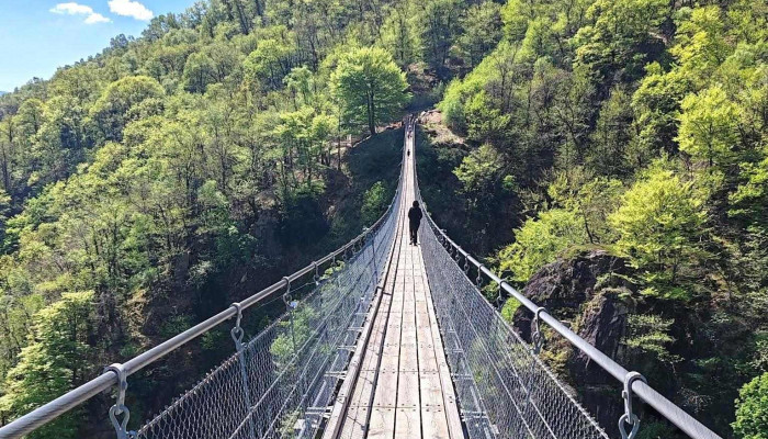 Ponte Tibetano Carasc - Bellinzona