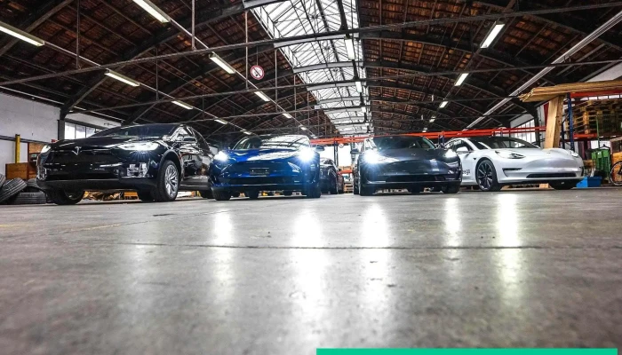 Reego -    Tesla Vermietung Service An  Und Verkauf Alle - Basel