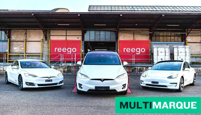 reego - Tesla Vermietung, Service, An- und Verkauf - Basel