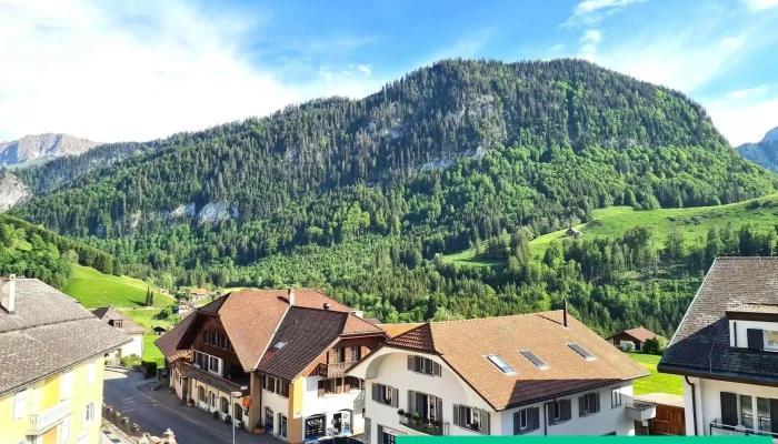 Residence Hoteliere Le Sapin Aussenbereich - Val-de-charmey