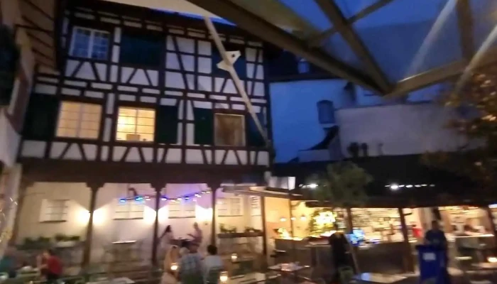 Restaurant Lowenzorn Videos - Basel