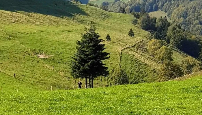 Restaurant Tannmatt -  Regionaler Naturpark Thal - Welschenrohr