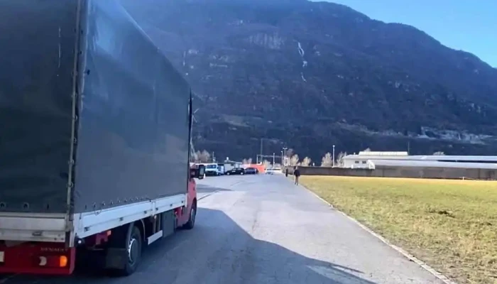 Rimotec Di Tinetti Fausto -  Videos - Biasca