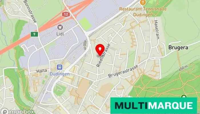 Roboter Cher Hugo Hayoz Karte - Düdingen