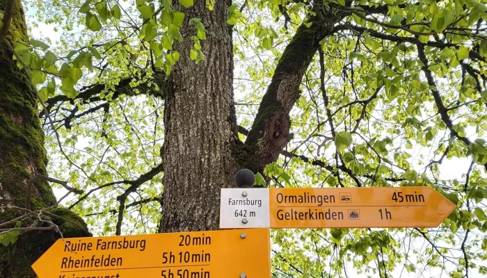 Ruine Farnsburg -  Kommentare - Ormalingen