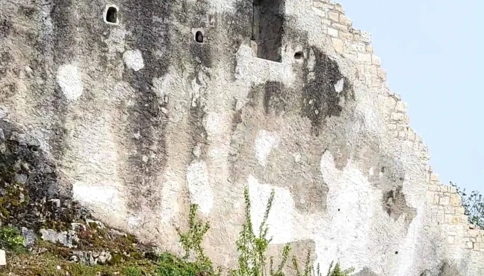 Ruine Farnsburg -  Rabatte - Ormalingen