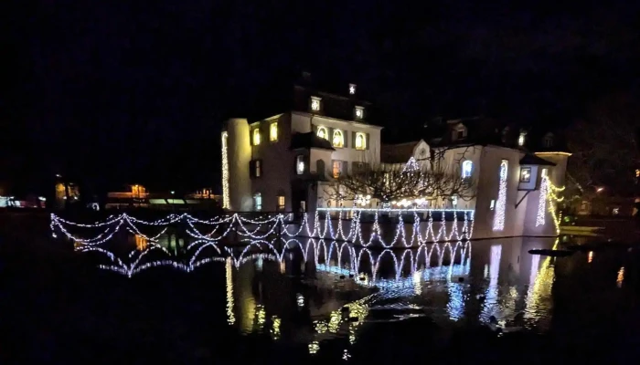 Schloss Bottmingen - Bottmingen
