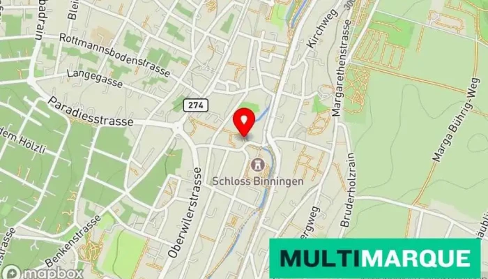 Schlossparking -  Karte - Binningen