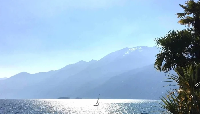 Scuola vela Ascona - Ascona
