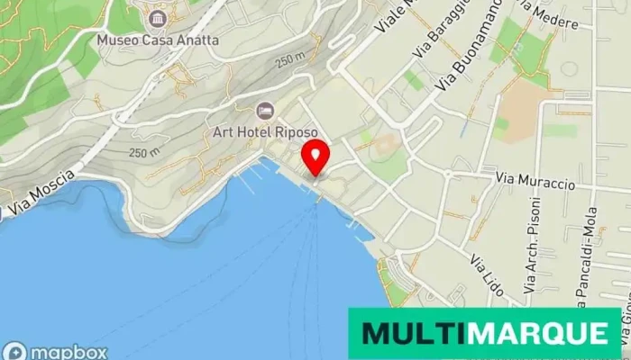 Seven Boutique Hotel Id 501 Karte - Ascona
