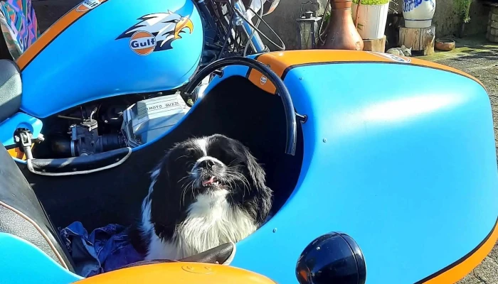 Sponi Power J Eggimann Motorradwerkstatt - Dürrenäsch